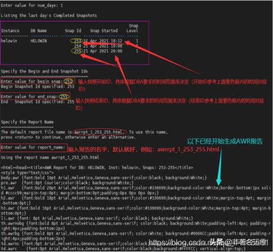 oracle数据文件的存放位置（oracle常用命令）