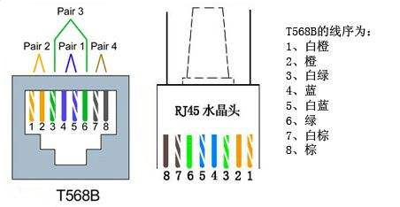 一根网线接两个水晶头怎么接（图解其正确接法）