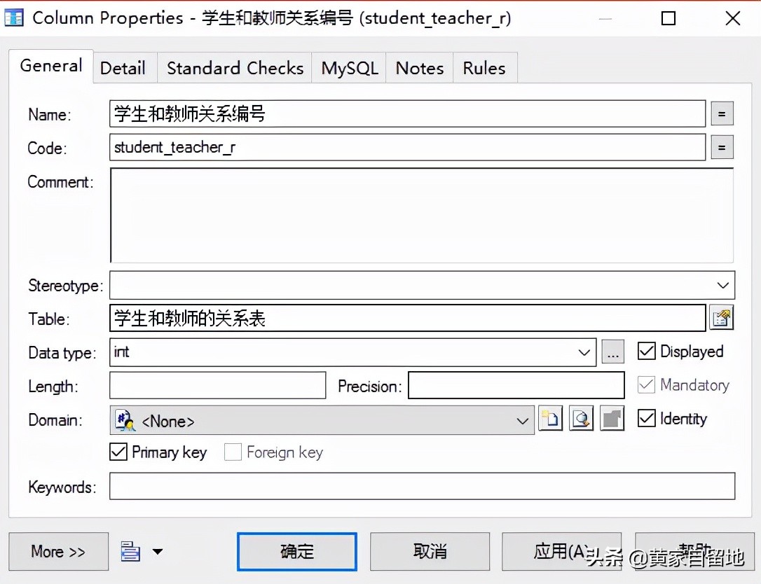 powerdesigner汉化教程（powerdesigner设置中文）