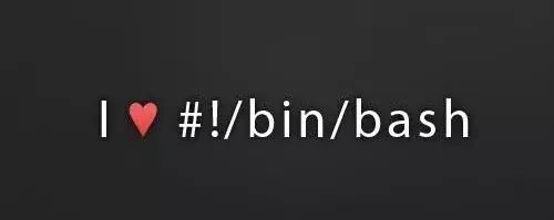 一文详解Shell脚本编程，从基础到进阶，通俗易懂一目了然