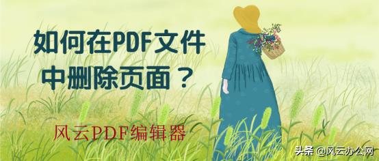 wps如何删除pdf中的一页（删除PDF文件页面的方法）