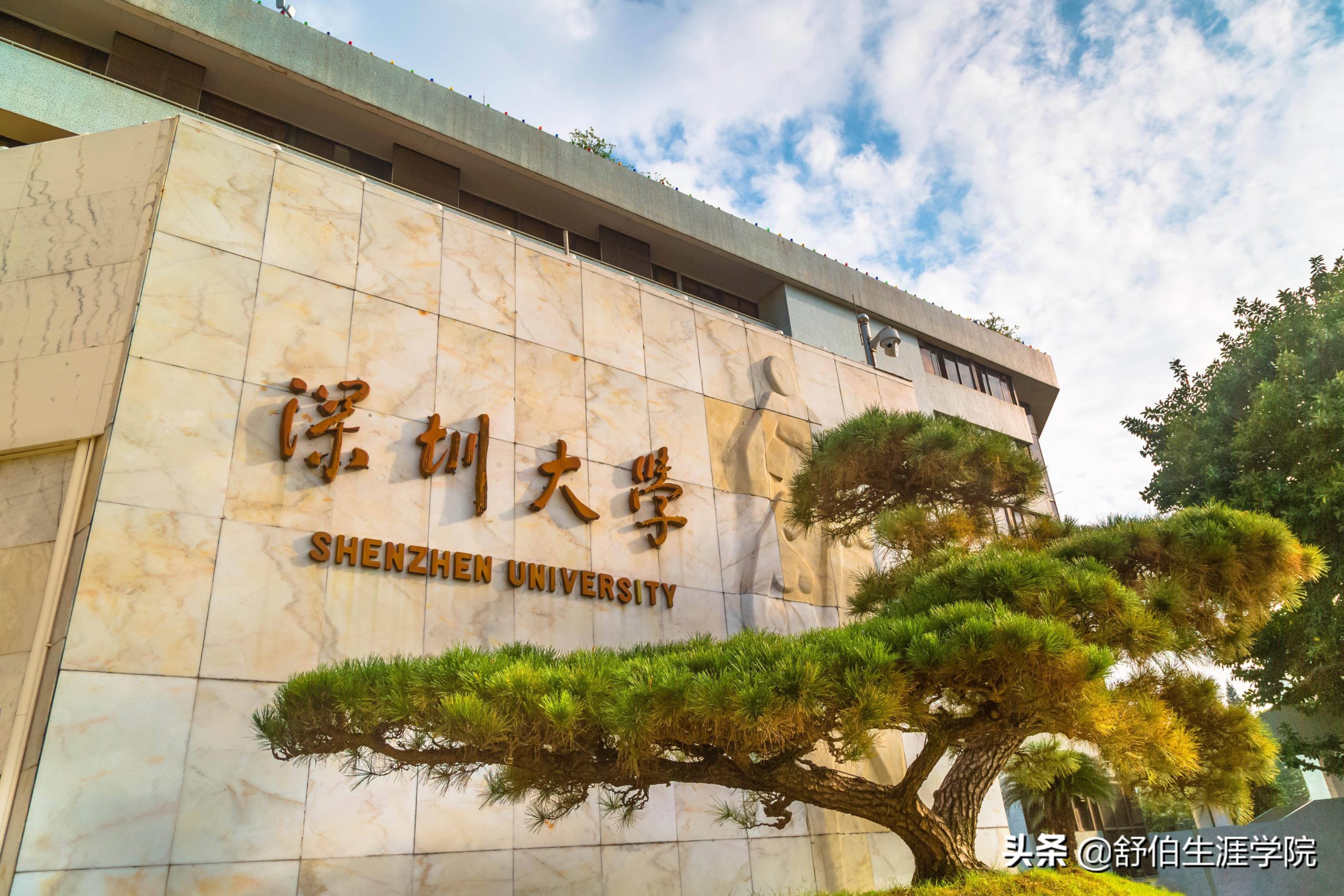 学校活动奖励方案怎么写（手把手教你写奖励方案）