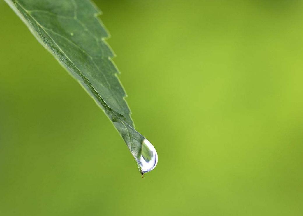 大智若愚的人的特点，这三个特征你都中了吗