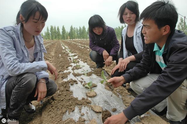 干什么赚钱农村，这三个行业比打工更值得