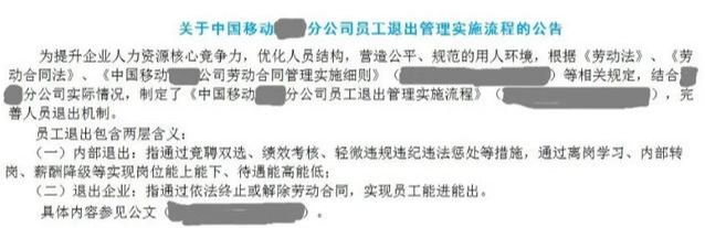 优化人员结构是什么意思（分析人员结构及优化的思路）