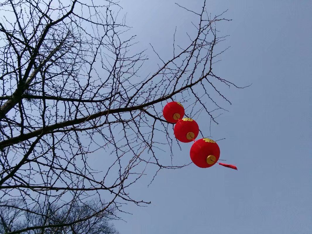 农村发财好项目有哪些（农村最适合的3大好项目）