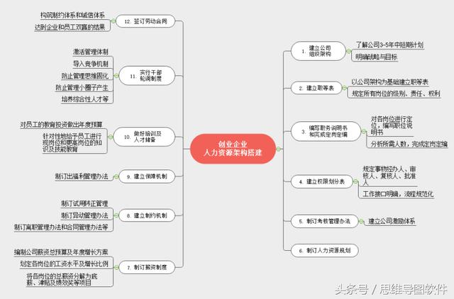 初创公司组织架构图怎么做，初创企业组织结构类型