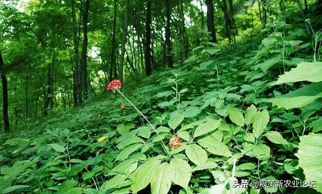 八个适宜在农村创业致富的项目，2019年农村最缺什么生意