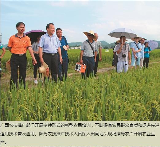 中国农机推广网介绍，盘点农业农村经济发展状况