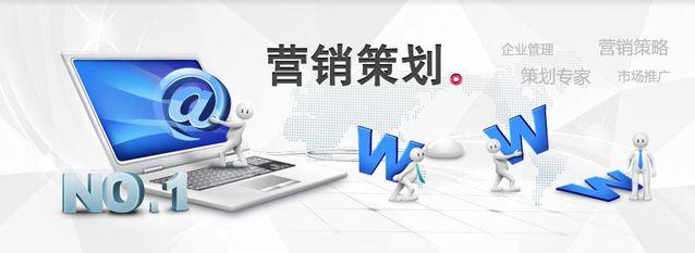 什么叫营销策略，营销方案案例范文