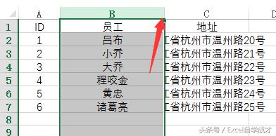 excel在哪里设置行高列宽（excel自动调整列宽设置步骤图）