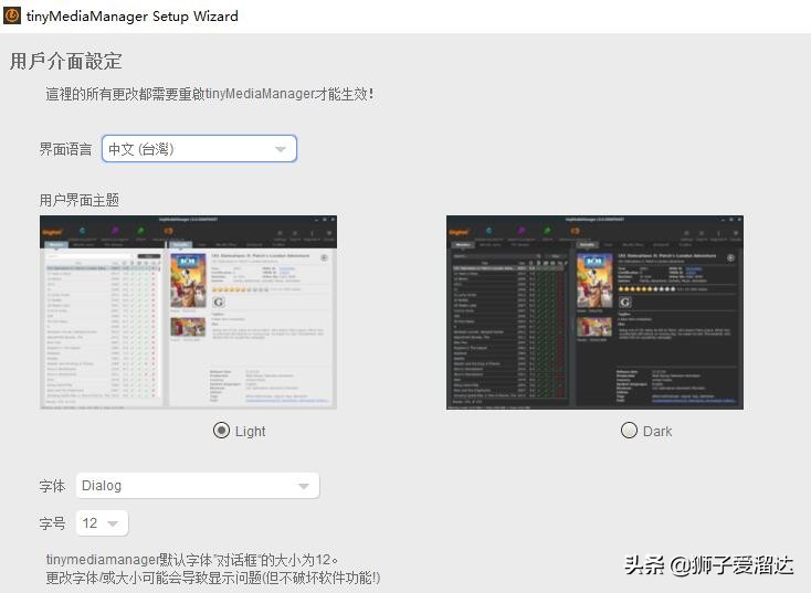 在Win10上安装和使用TinyMediaManager