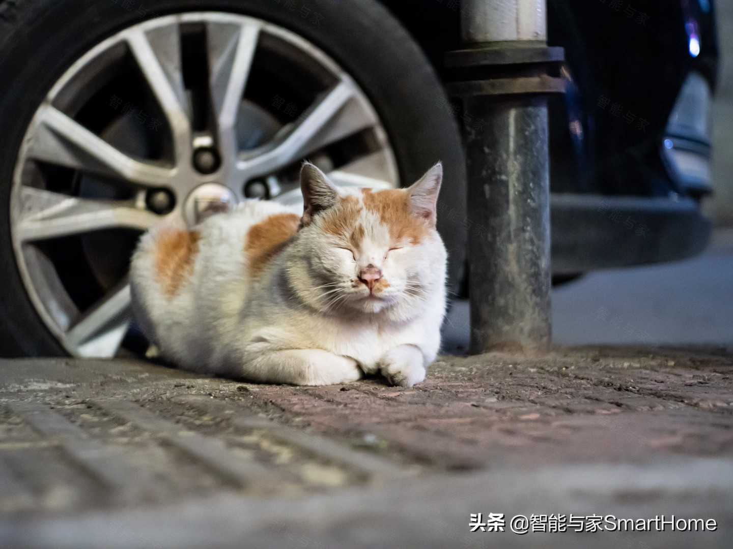 奥林巴斯em10二代参数（奥林巴斯最好的定焦镜头）