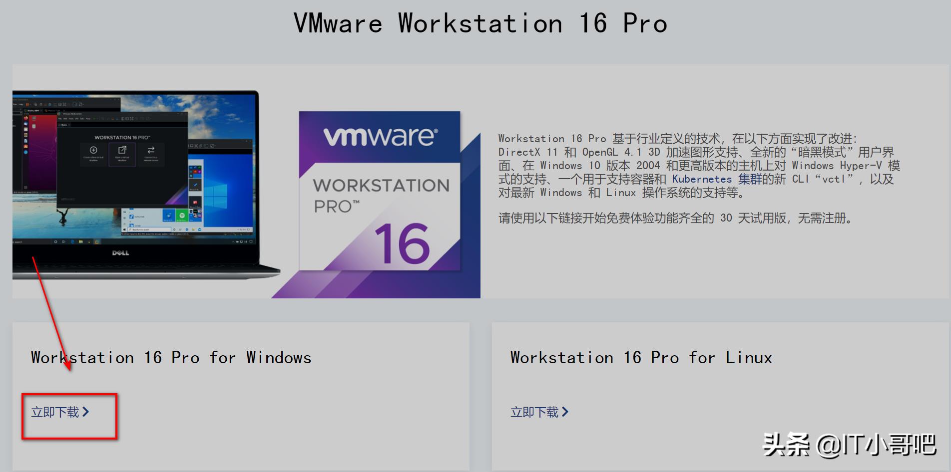 vmware虚拟化引擎要不要勾选（开启cpu虚拟化坏处）