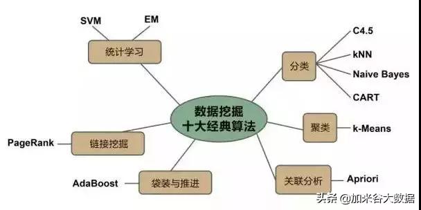 什么是数据挖掘（数据算法有哪些）