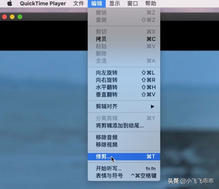 quicktime播放器无法打开（播放器不能打开原因和解决法）