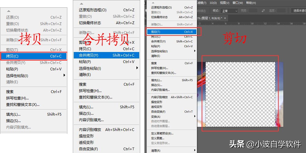 自学PS：拷贝与粘贴都有哪些方法？编辑信息时错误了怎样恢复？