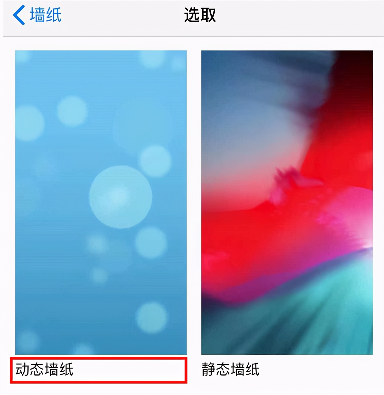 ios怎么自定义动态壁纸声音（苹果手机壁纸设置方法）