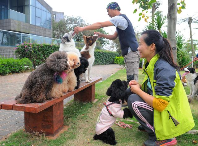 做什么行业轻松挣钱，五大不起眼的赚钱行业