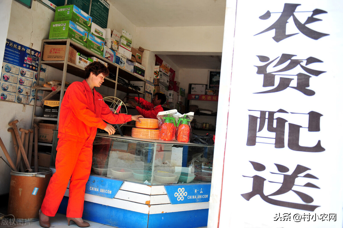 在农村干什么赚钱，这几个好点子不容错过