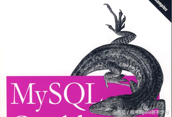 mysql怎么导入sql文件命令（将外部sql文件导入MySQL的步骤）