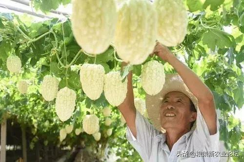 八个适宜在农村创业致富的项目，2019年农村最缺什么生意