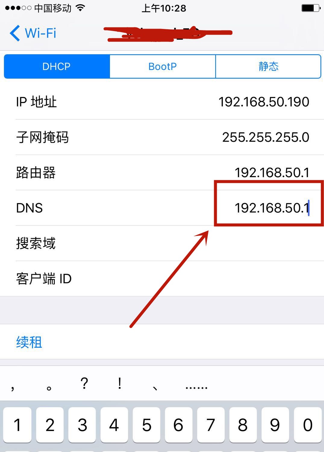 iphone dns怎么设置上网快（DNS功能作用和最佳设置技巧）