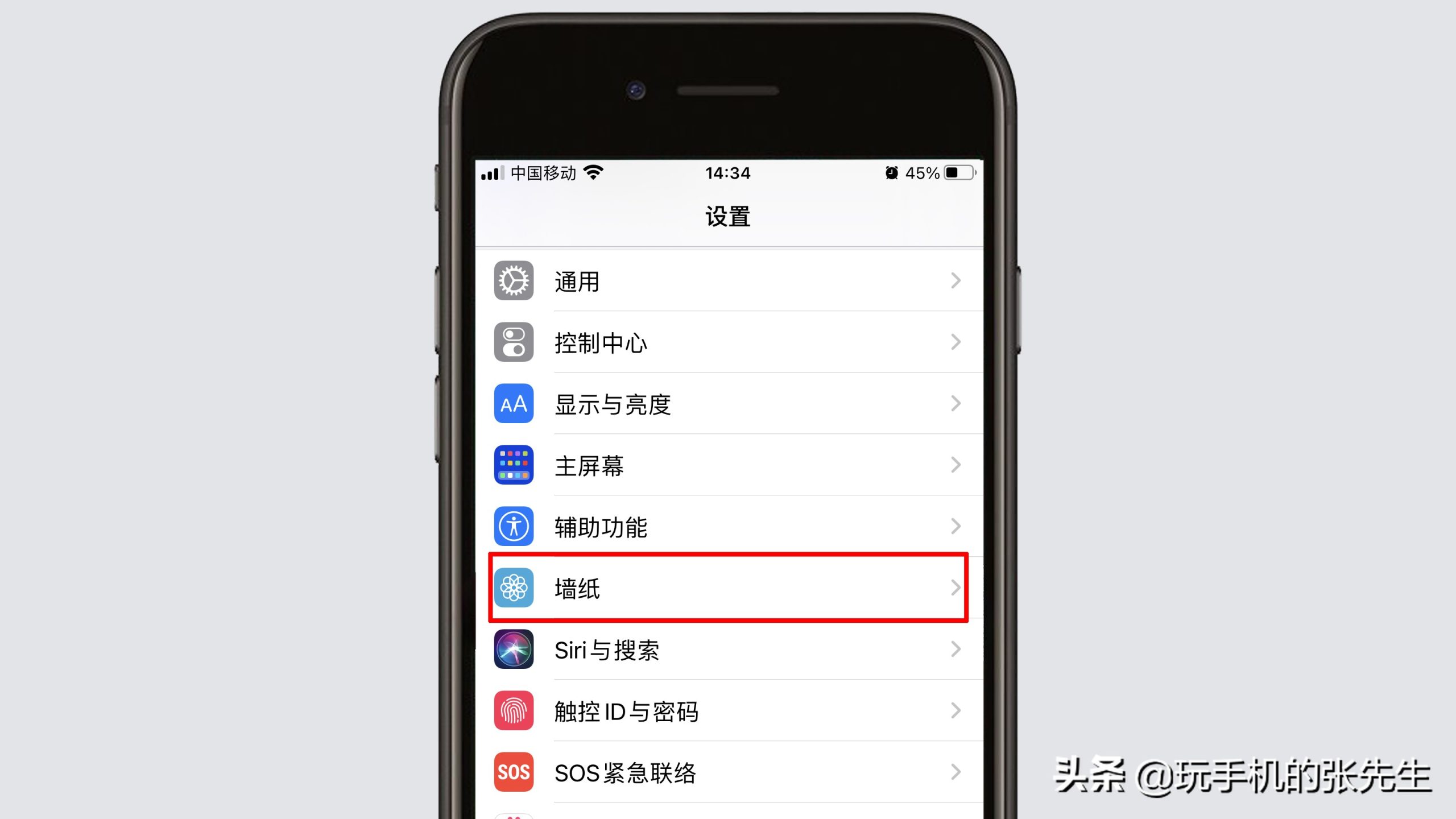 ipad动态壁纸怎么弄自己的（ipad设置自定义动态壁纸）