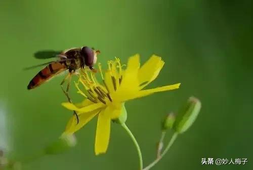 墨菲定律给人的忠告管理（深入解说墨菲定律涵义）