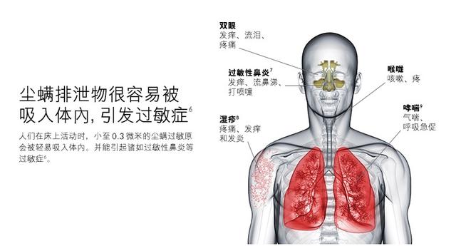 款除螨仪测评对比（究竟哪款最值得入手呢）"