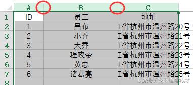 excel在哪里设置行高列宽（excel自动调整列宽设置步骤图）