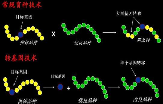 什么是转基因，关于转基因你必须要知道这些知识