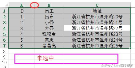 excel在哪里设置行高列宽（excel自动调整列宽设置步骤图）