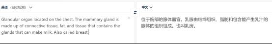 免费英文翻译推荐（好用的免费英文翻译软件）