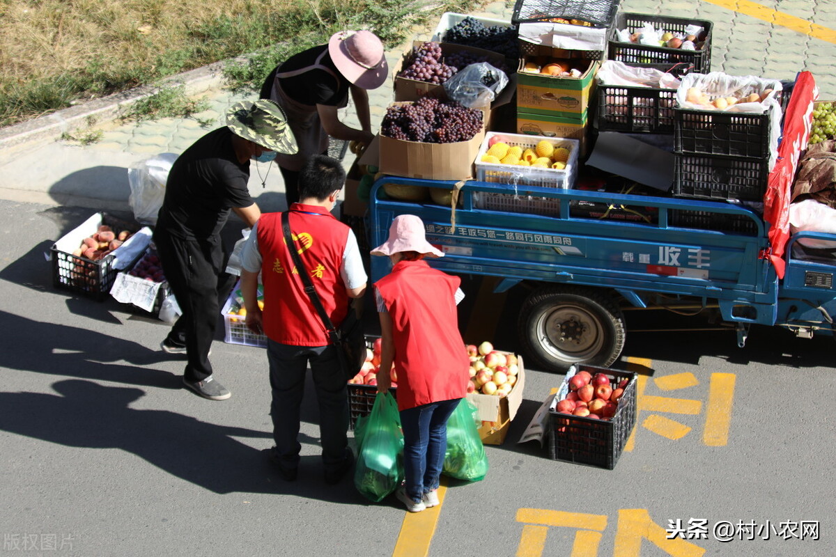 在农村干什么赚钱，这几个好点子不容错过