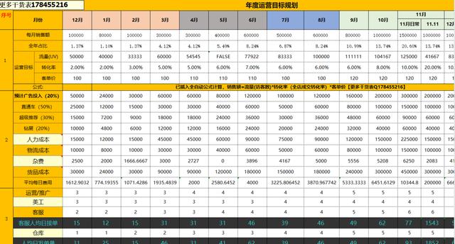 020完整版天猫推广方案（新品产品运营推广思路）"