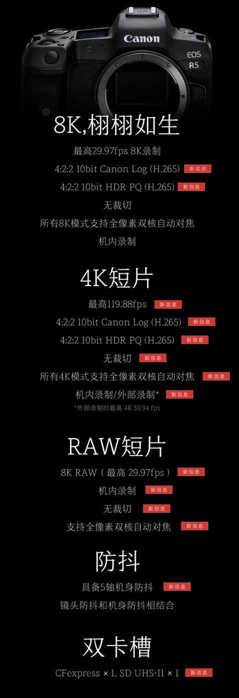 佳能快门数如何查询（佳能机身12位编号查询真伪）